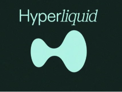 HYPE币是什么?为什么近期这么火?2026年Hyperliquid平台币HYPE购买完整教学