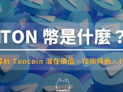 TON币是什么?深入解析Toncoin潜在价值、技术特色以及代币经济